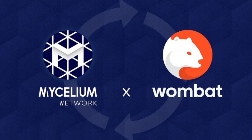 An image used in the Medium article announcing the partnership between Mycelium Network and Speilworks